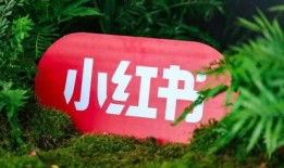 人人草在线观看,揭秘热门影视作品的魅力所在