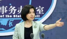 王琳长号最新爆料视频,最新爆料视频深度解析